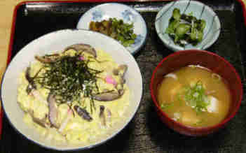 konoha donburi \900