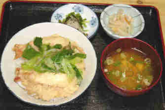 tenpura donburi \900